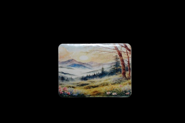Magneet met  landschap