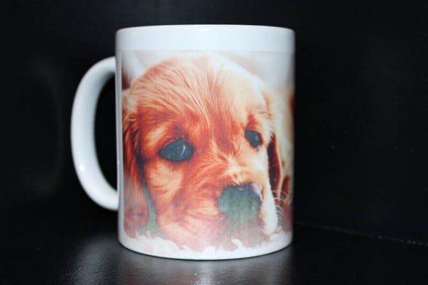 Mok met hond
