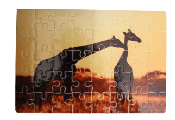 Puzzel met giraffe