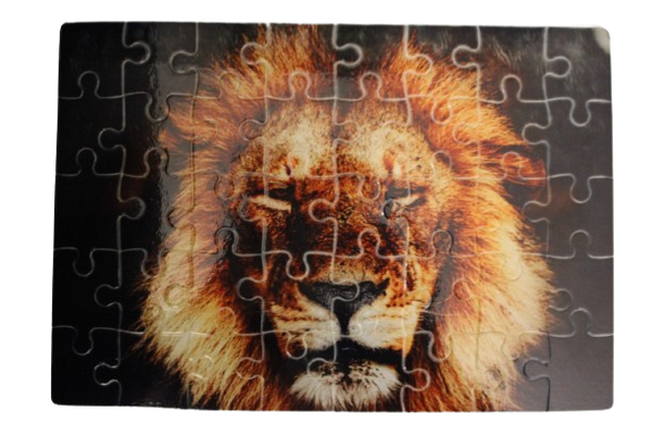 Puzzel met leeuw