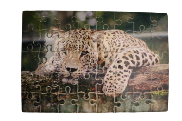 Puzzel luipaard
