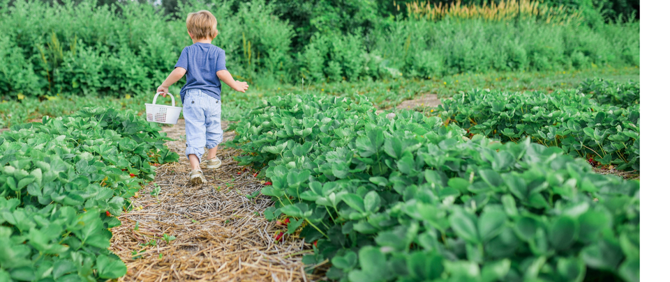 kids in the garden