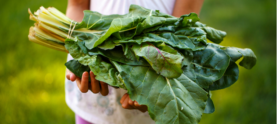 Kids and veggies