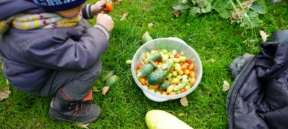 kids and vegetables