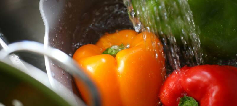 photo of washing fresh vegetables for storage, Back to the Garden Jax