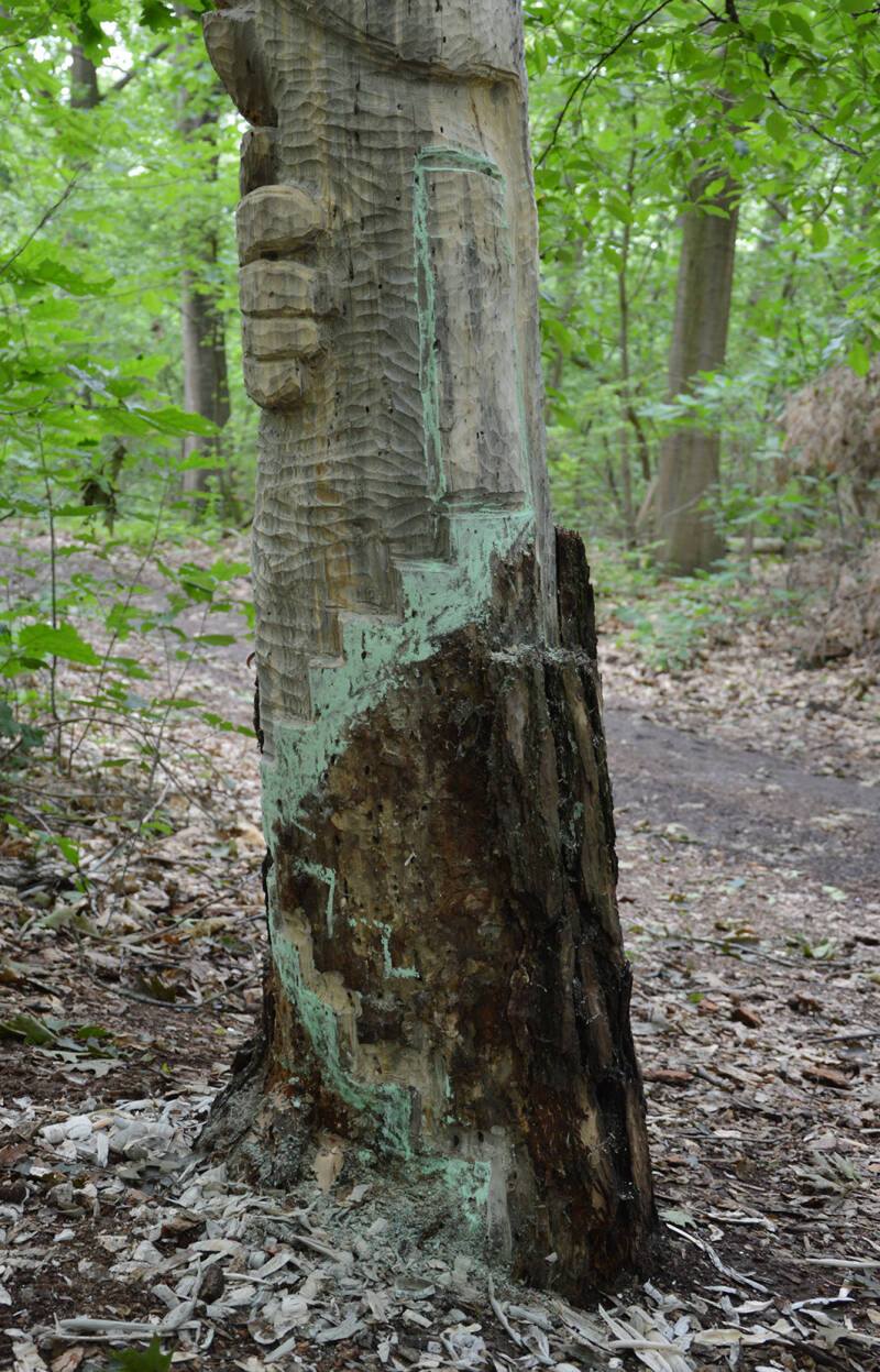 Ik ben een trap aan het maken zodat meneer Beauman zijn boomhuis in kan.