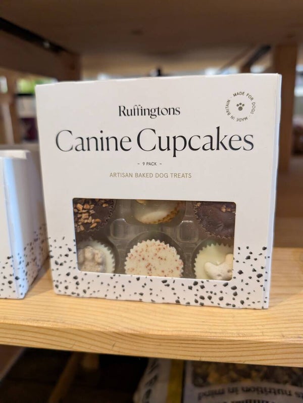Canine Cup Cakes