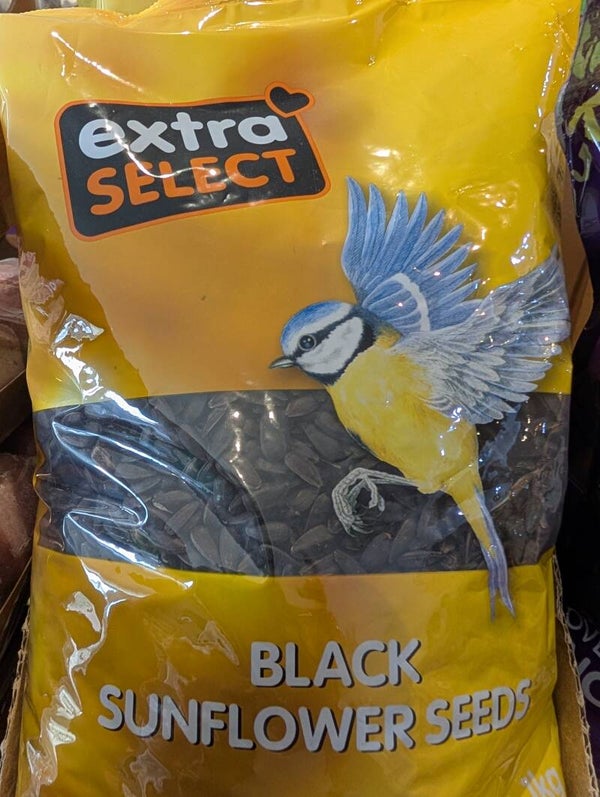 Black Sunflower Seeds 1kg