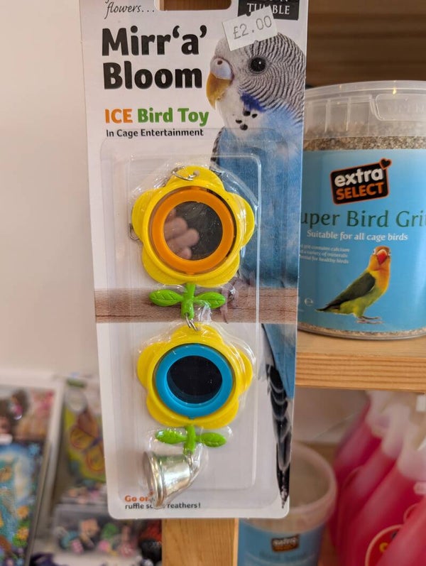 Mirror Bird Toy