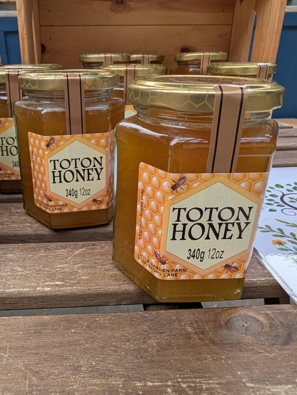 Toton Honey