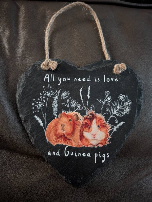 Slate Guinea Pig Plaque