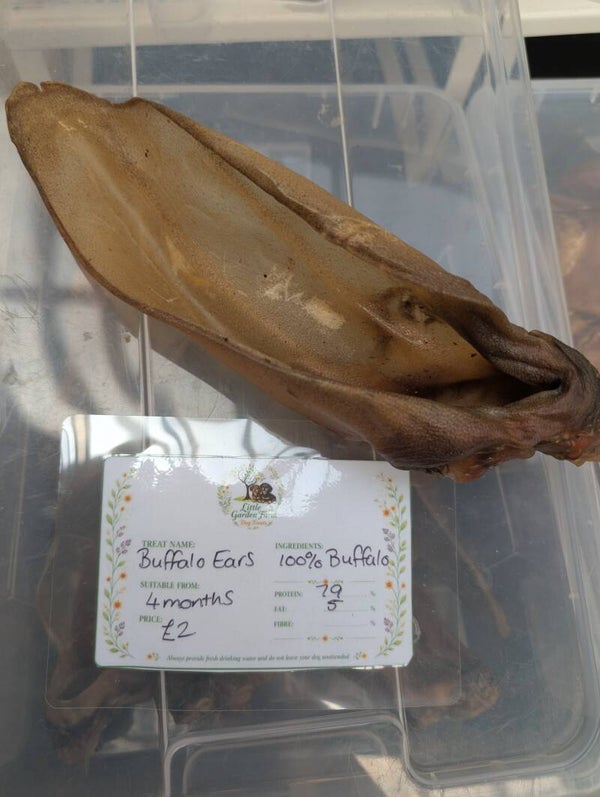 Buffalo Ear