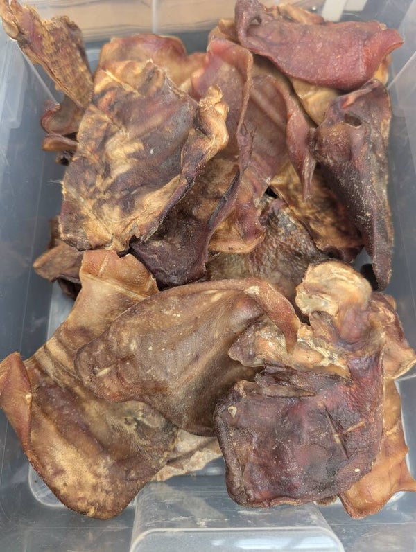 Pigs ear