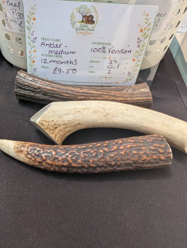Antler Medium