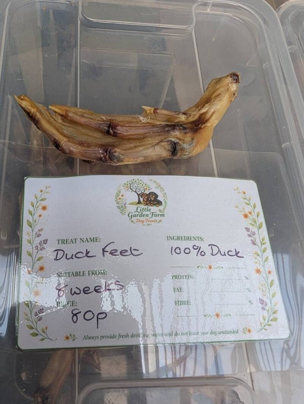 Duck Foot