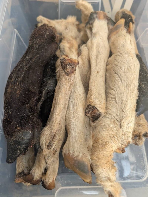 Hairy Lamb Trotter