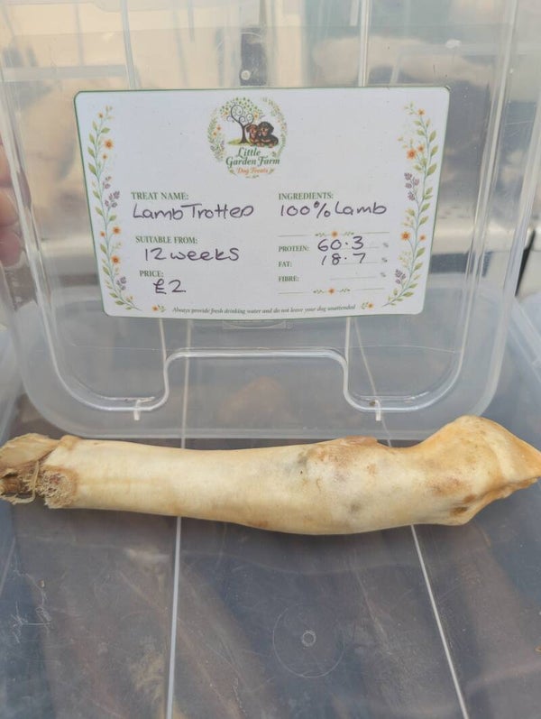 Lamb Trotter