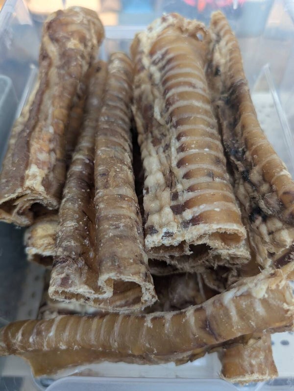 Buffalo Trachea