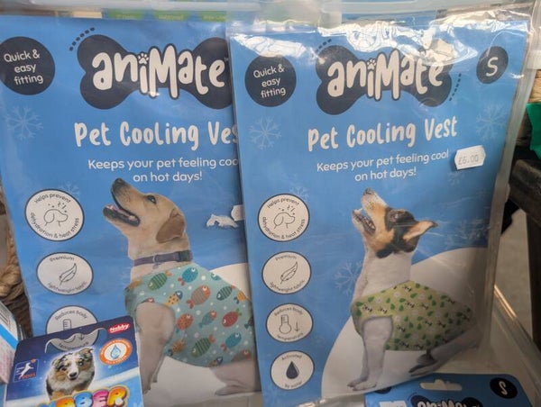 Pet Cooling vest