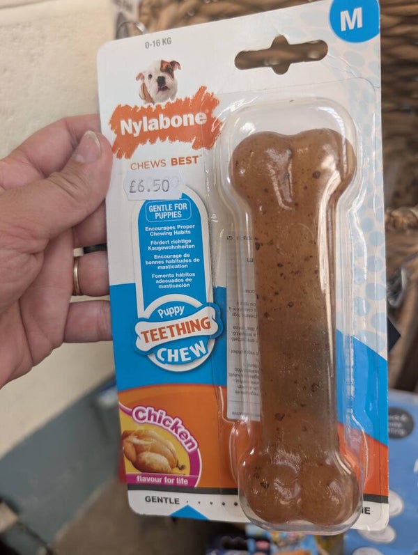 Nylabone