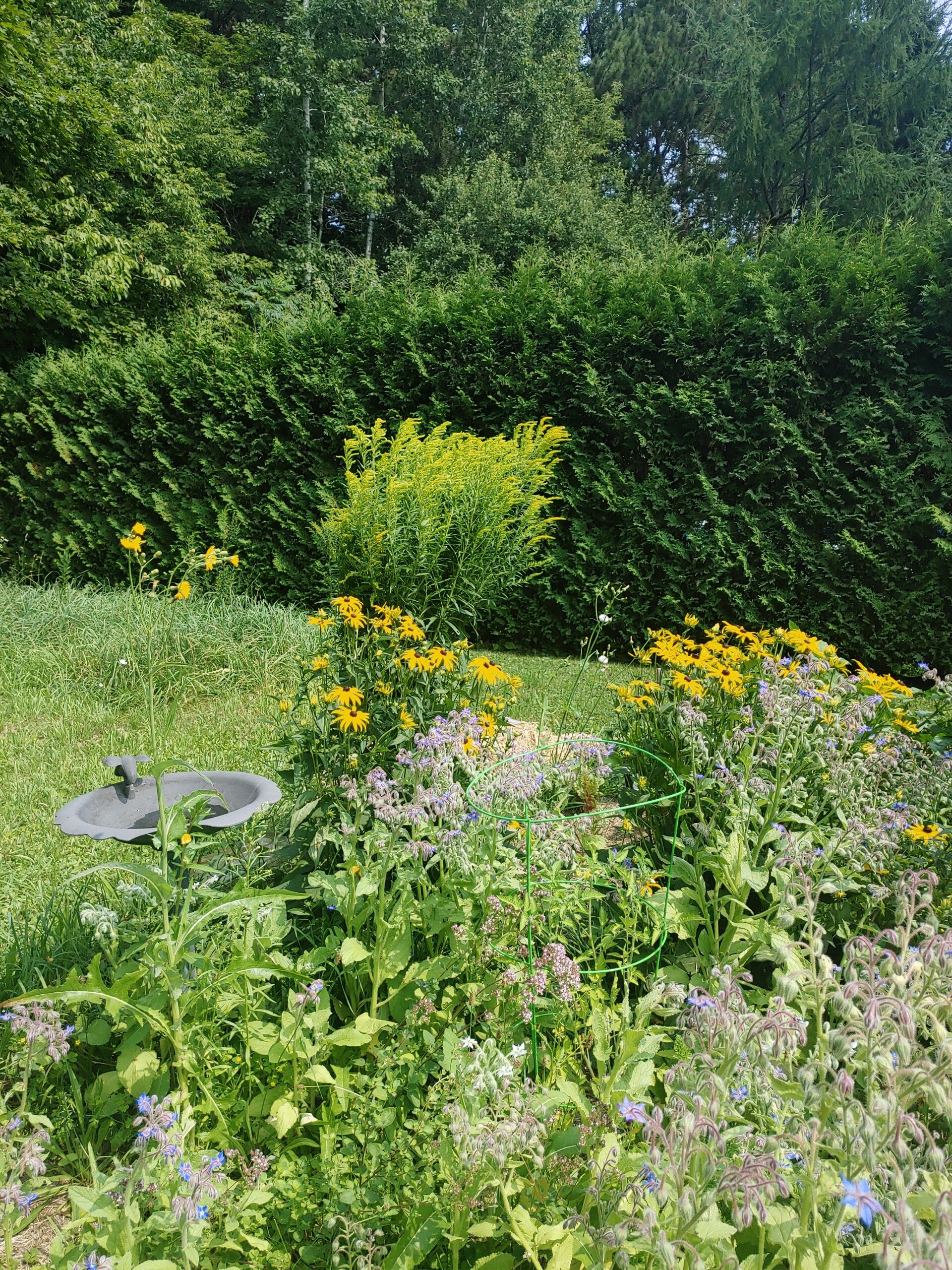 Nouveauté dans le jardin : un café au cœur de la nature
