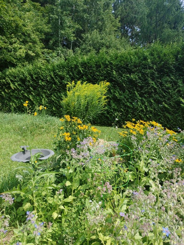 Nouveauté dans le jardin : un café au cœur de la nature