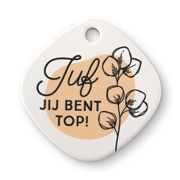 Magneet  - juf