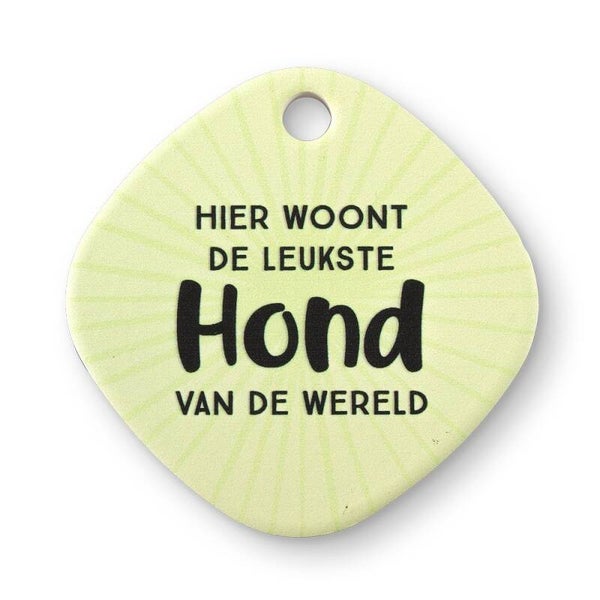 Magneet  - hond