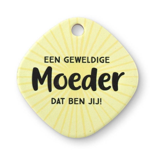 Magneet  - moeder