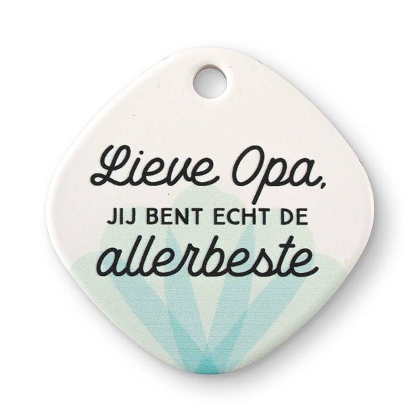 Magneet  - opa