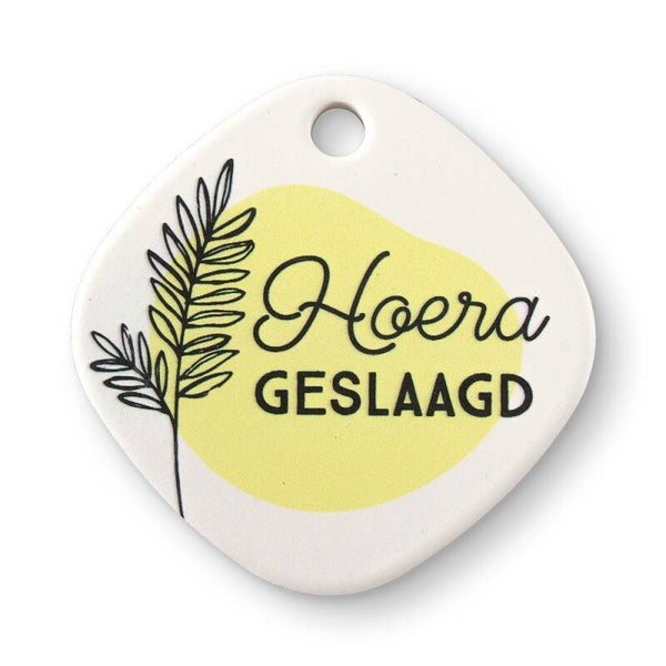 Magneet  - hoera geslaagd