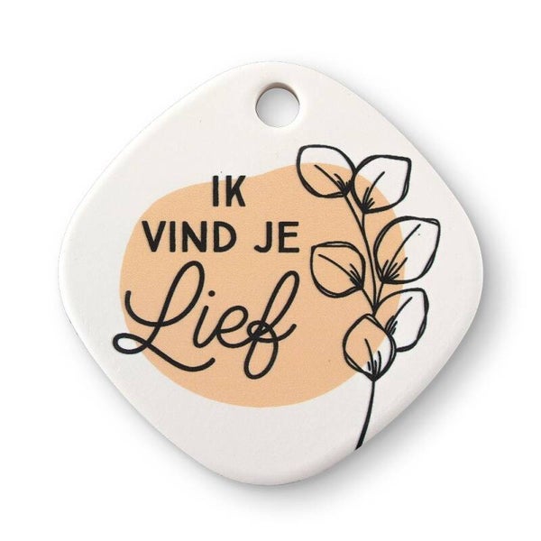 Magneet  - ik vind je lief