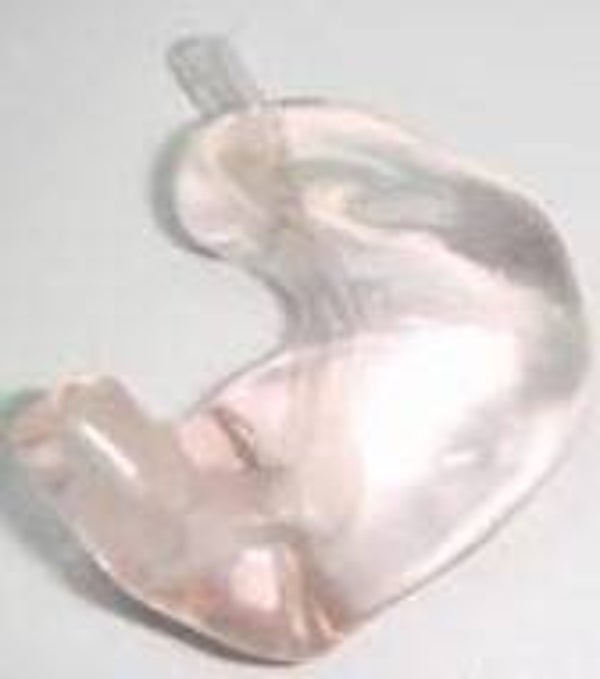 Molde Acrílico Concha
