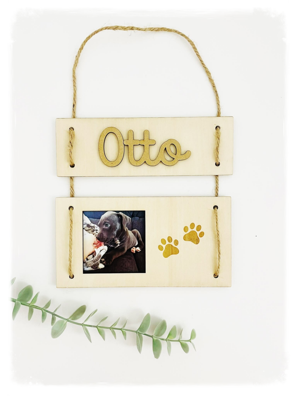 PLACA MASCOTA CUERDAS