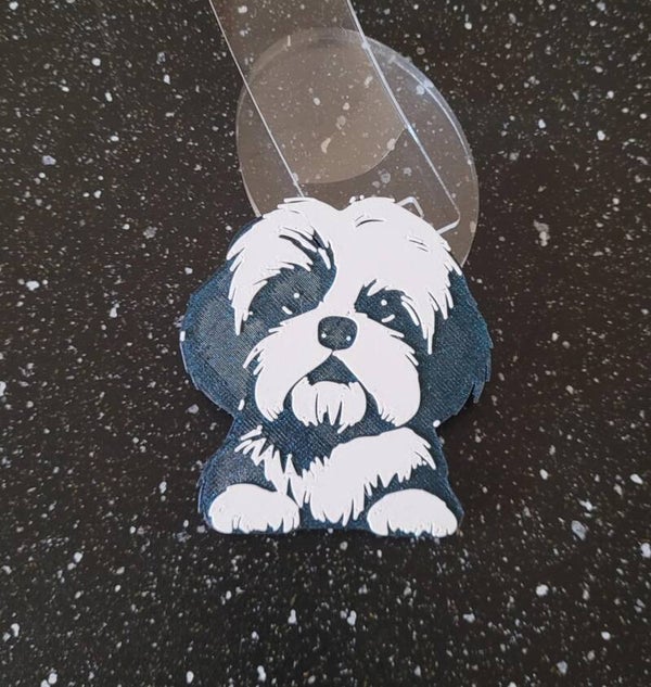 Cover shitzu