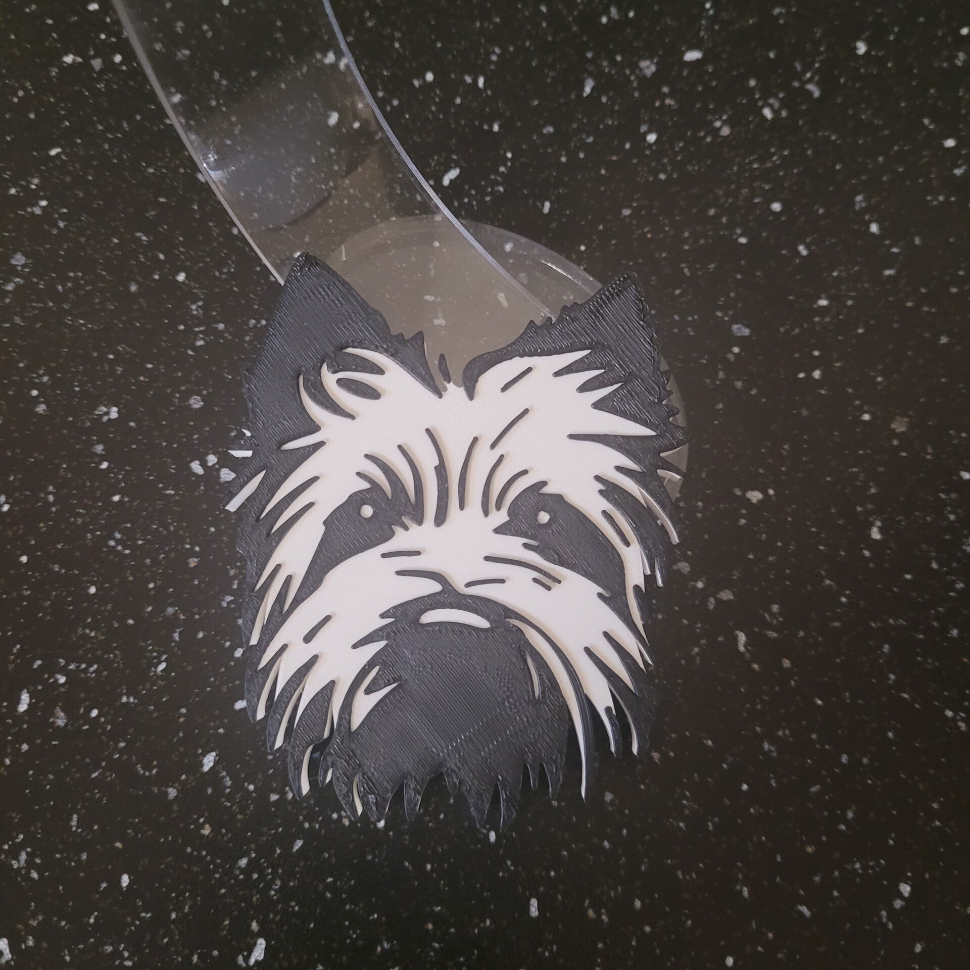Cover westie