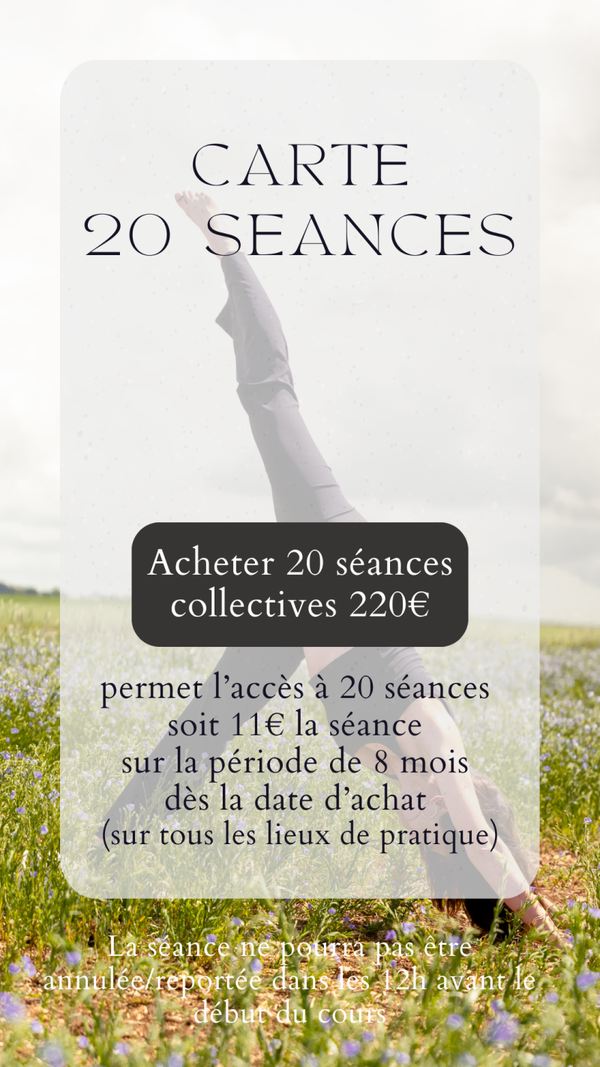 Carte 20 séances