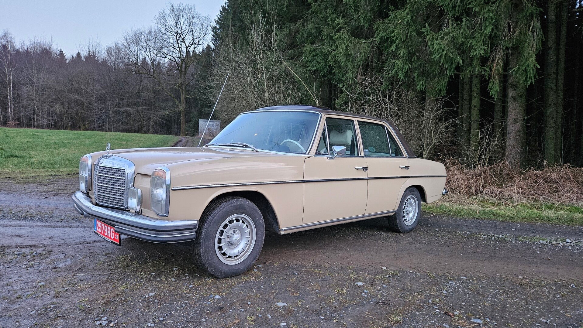 Mercedes-Benz W114 230-6