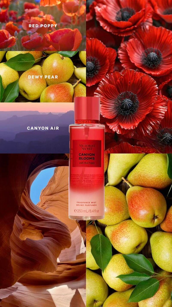 Body Mist VS (Canyon Blooms)
