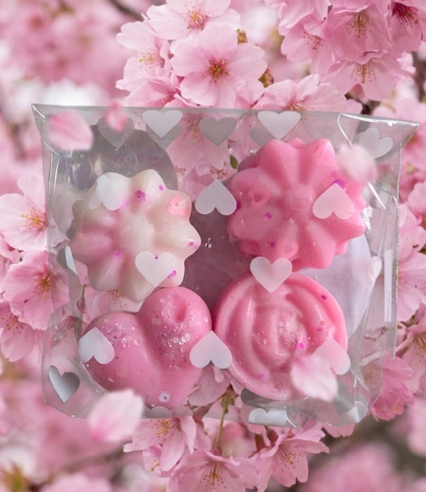 Fuschia Rain