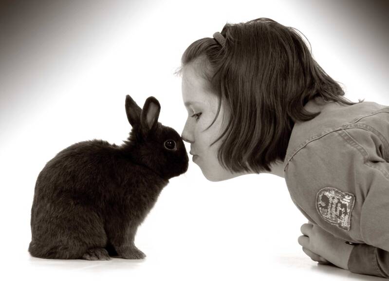 Dierenfotografie-konijn-Sandra-van-Leuken-Fotografie