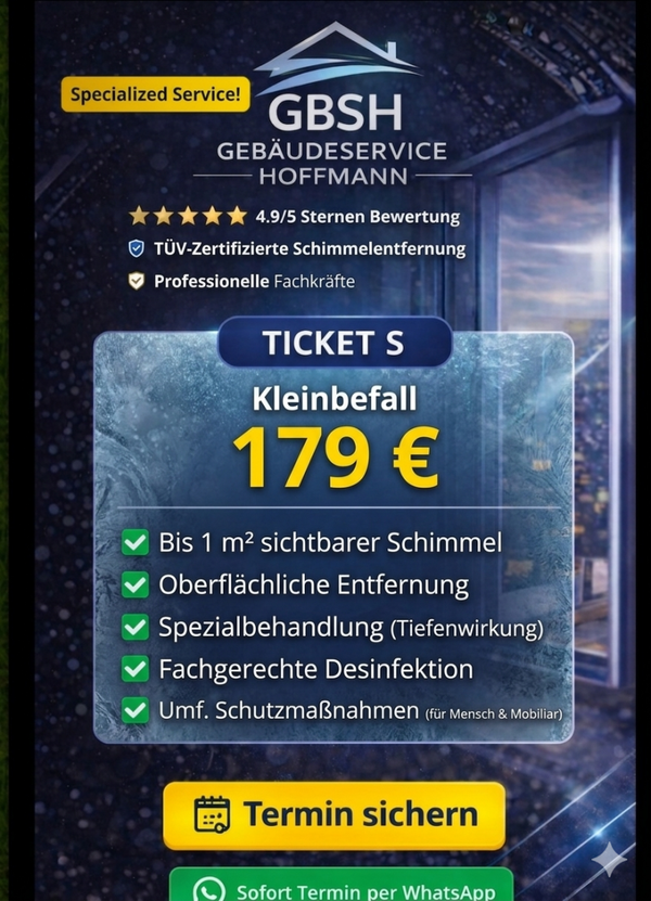 Ticket S|M|L|XL– Kleinbefall  bis 1 - 5 m² sichtbarer Schimmel ab 179 €