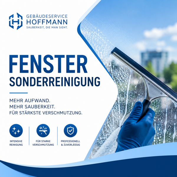 Standartfenster Sonderreinigung Ticket S