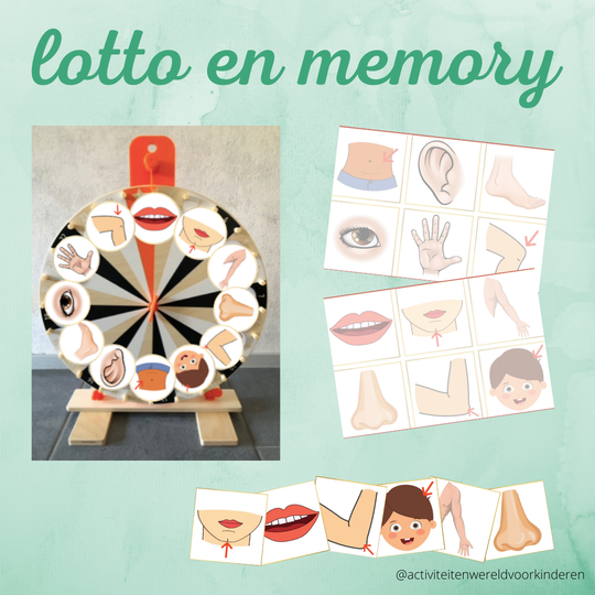 Mijn lichaam - lotto/memory