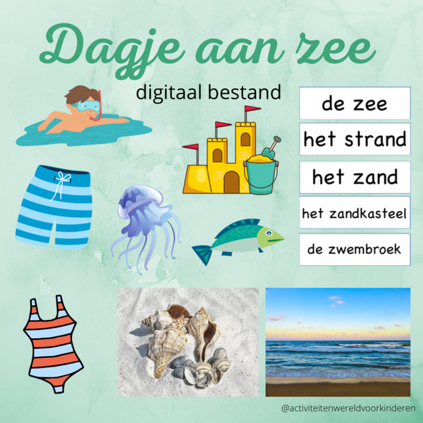 Digitaal bestand - dagje aan zee