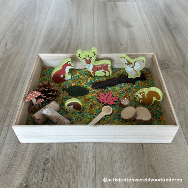 Sensorisch pakket - bosdieren