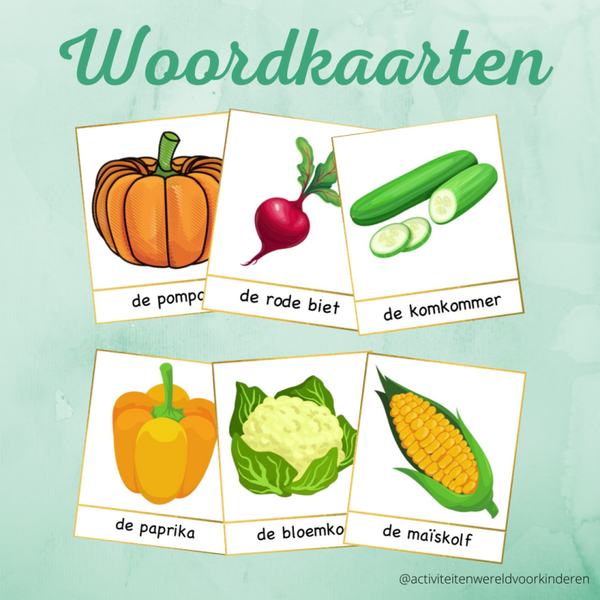 Mijn eigen moestuin - groenten woordkaarten