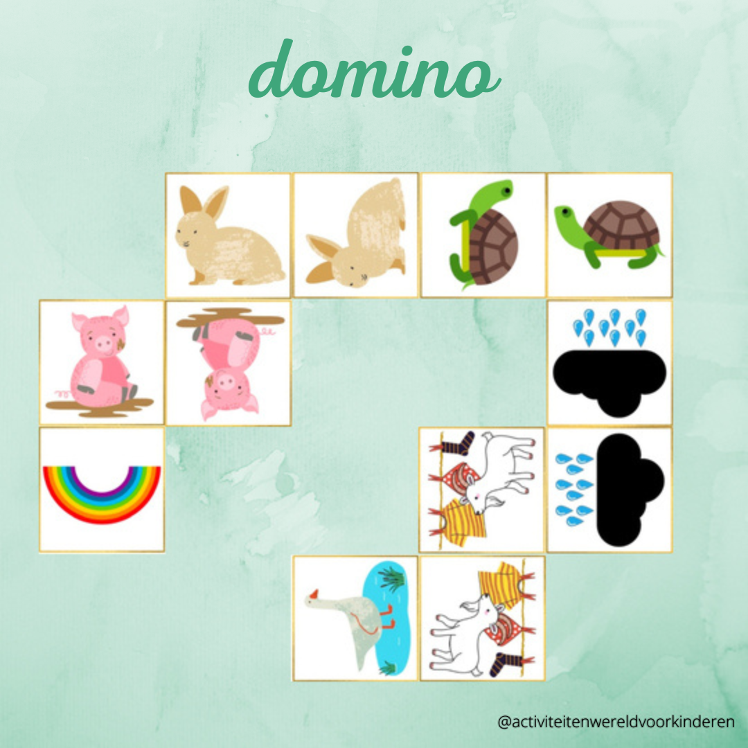 Moppereend - Domino
