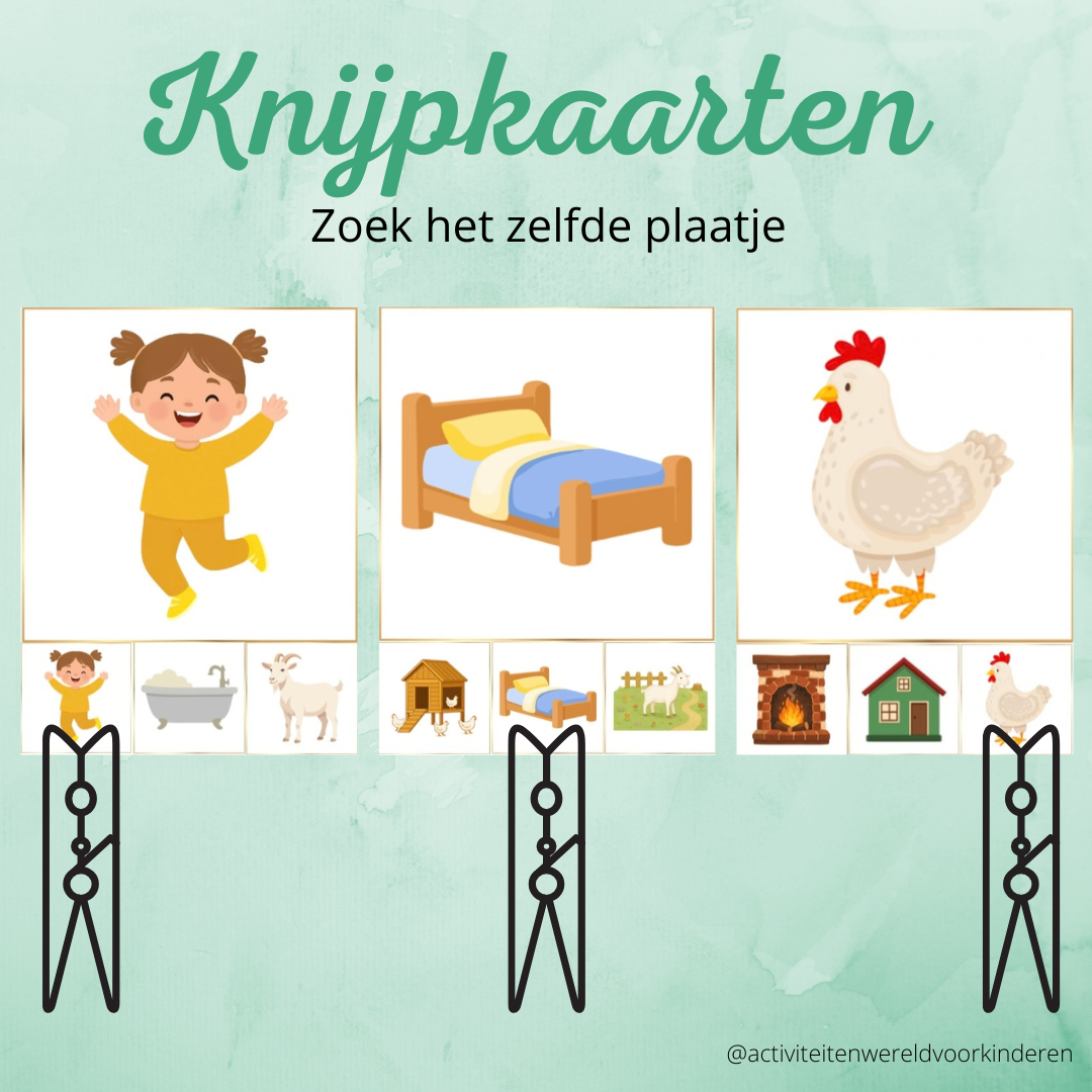 De kipjes en de geit - Knijpkaarten zelfde plaatje