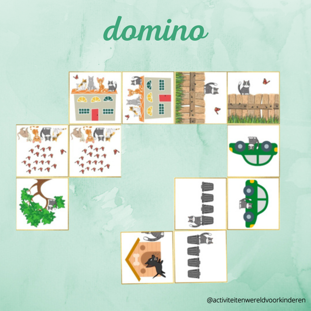Een huis voor Harry - domino